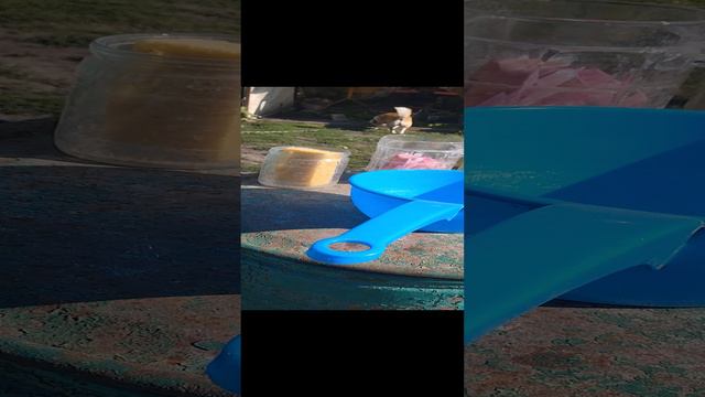 моя реал лайф