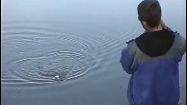 99_Волгоградская область река Лиска