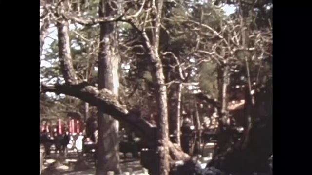 A Trip To China - 1977 1ч