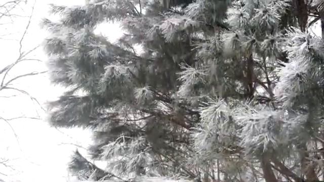 Весна на нашем дворе.Часть 1