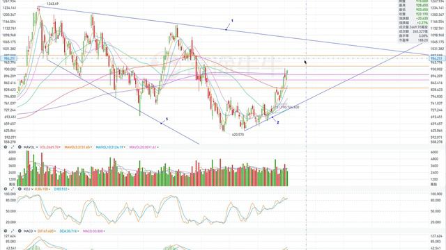TSLA  特斯拉  股價預測 2022年08月04日;  TSLA  Stock Price Forecast For 04.August.2022 （第210期）。