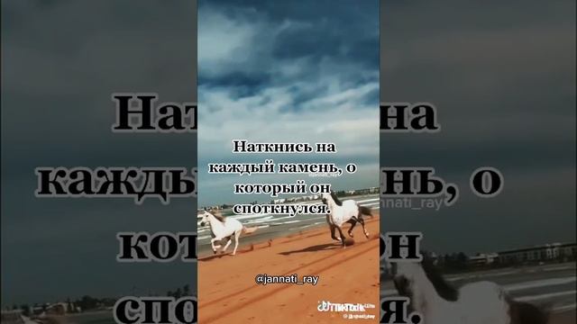 Fd052581-8aa9-43d3-b3a9-acabe716133b-watermark.mp4