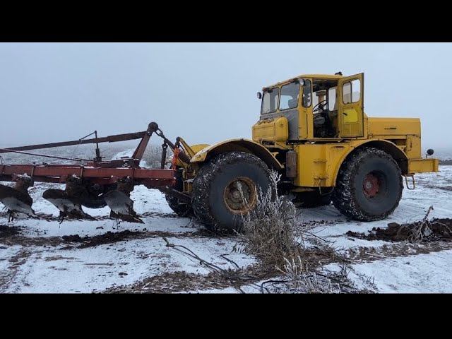 Примерз ВОЛГАРЬ.  Пахота мерзлой земли. Озимая пшеница.