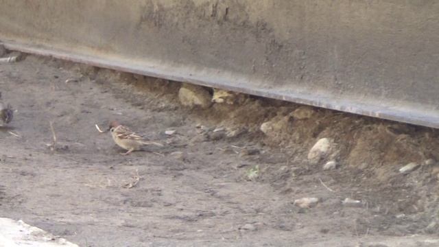 Bbf1d3b37fc8fda96f52db3a3bc2e8c7