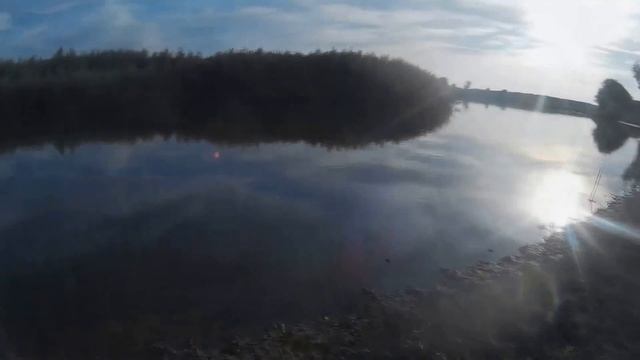 Теплый Советник