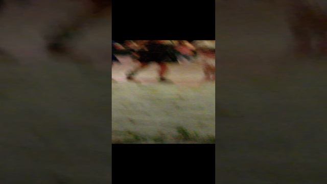 Лагерь кавказ