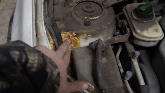 Автомобильные перспективы: протест-драйвы и обзоры моделей