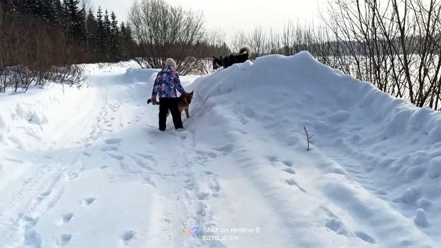 451a250fa8e07069949fe8c5a0b73bf2