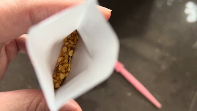 ВТОРЫЕ В ОЧЕРЕДИ: ПОСЕВ СЕМЯН БОЛГАРСКОГО ПЕРЦА ИЗ БОЛГАРИИ НА РАССАДУ!!)) 🫑🌶️