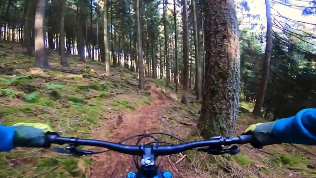 00bb7a362179009dfb76e6cc8793287e