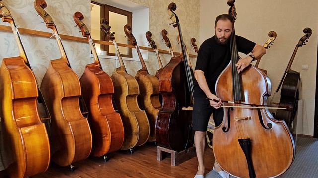 Контрабас №115