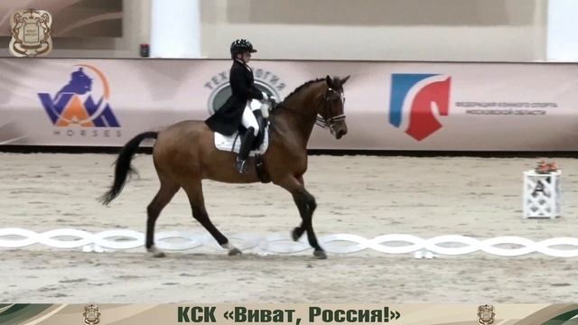 21.10.2023 Командный Чемпионат Московской области по выездке