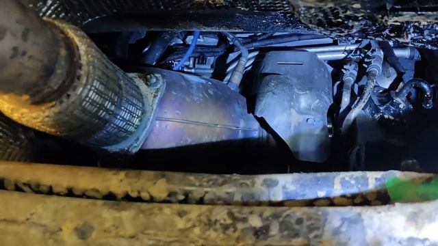 Пленительные ресницы