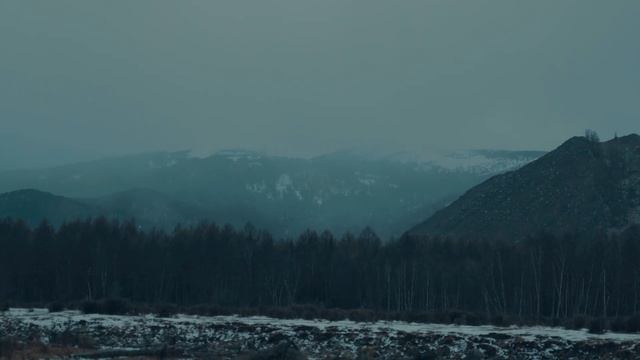 А Р А Л Д  А  ( В ЛЕСУ)