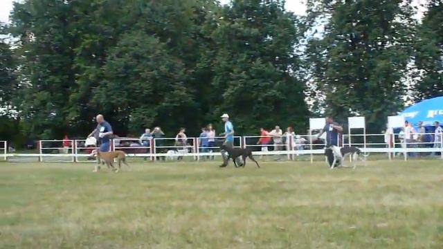 89de8455a11ad332034739c18ce3f78a