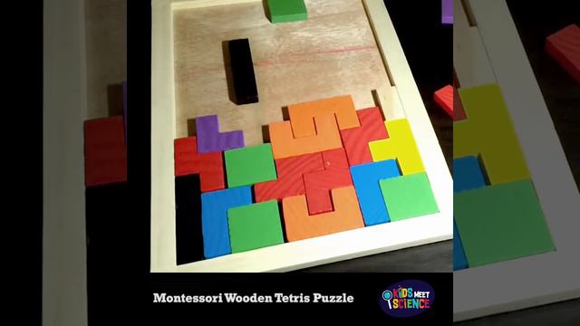Montessori Wooden Tetris - Kids Meet Science