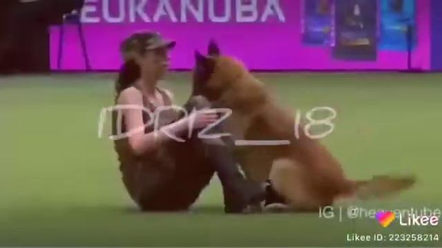 Ae064a71234896e44b7311a0584710ec