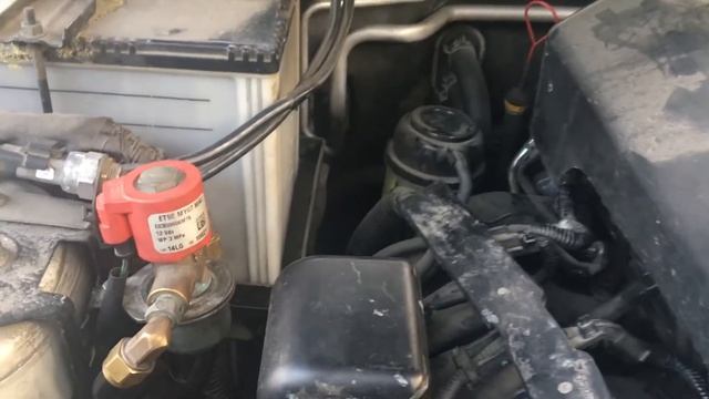 Сузуки: преображение реальности