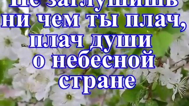 Сколько не было в мире дорог