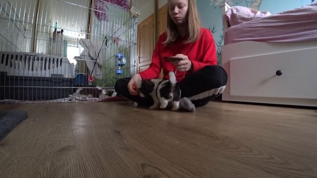 Радость природы