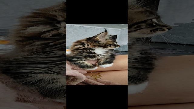 1 января 2024 Три дня у нас в семье?❤