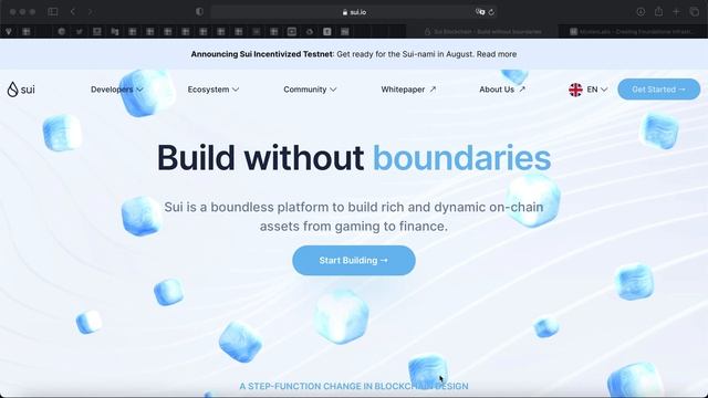 Sui - Обзор проекта. Новый ГЕМ. Возможная амбассадорка.