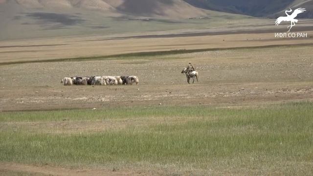 908a974bbcaa8fe5c54669ccf019d620