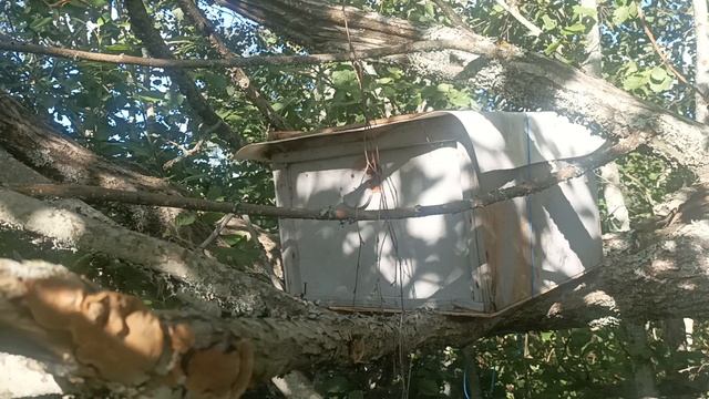 VID_20230829_162526.mp4