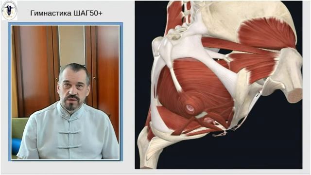 Боли в тазобедренном суставе. Школа ШАГ 50+.