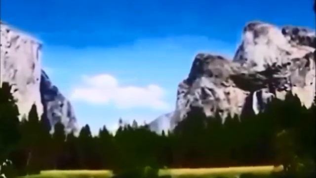 MURTA ARBUSTO PR MISS YVES