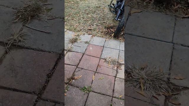 Cantonape (Lvyuan) Inverter 1000W/2000W(Peak) Review