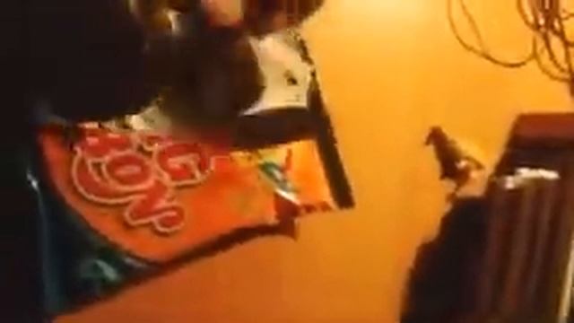 Обзор илитного бич пакета не судите строго