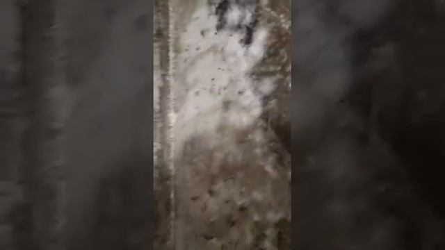 работа швов на фасаде дома и их последствия ЖКХ  УК          