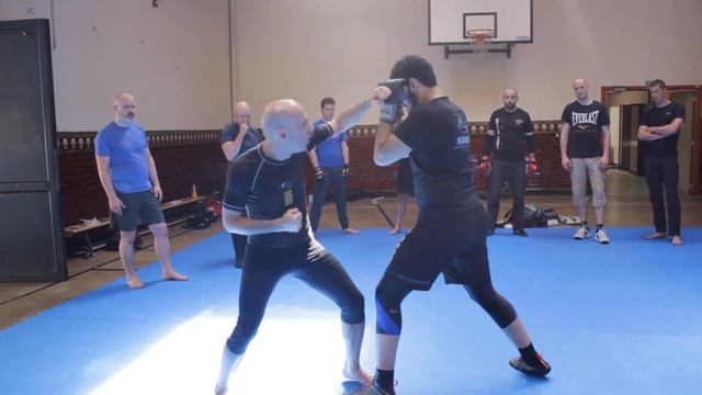 333c8ed7b8d2eba2c78249d3a8291723