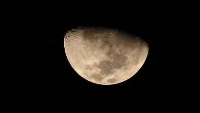 Canon Powershot SX40 HS - Half Moon Zoom