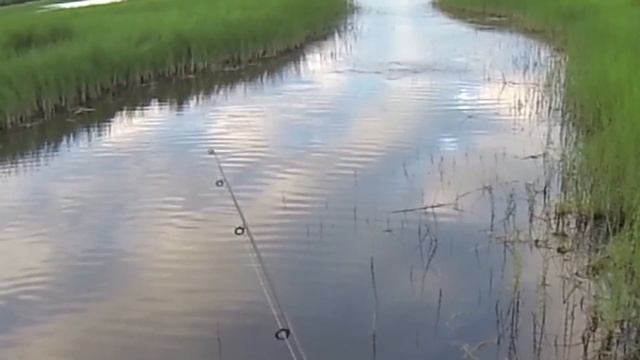 рыбалка #4 щука на хорватское яйцо