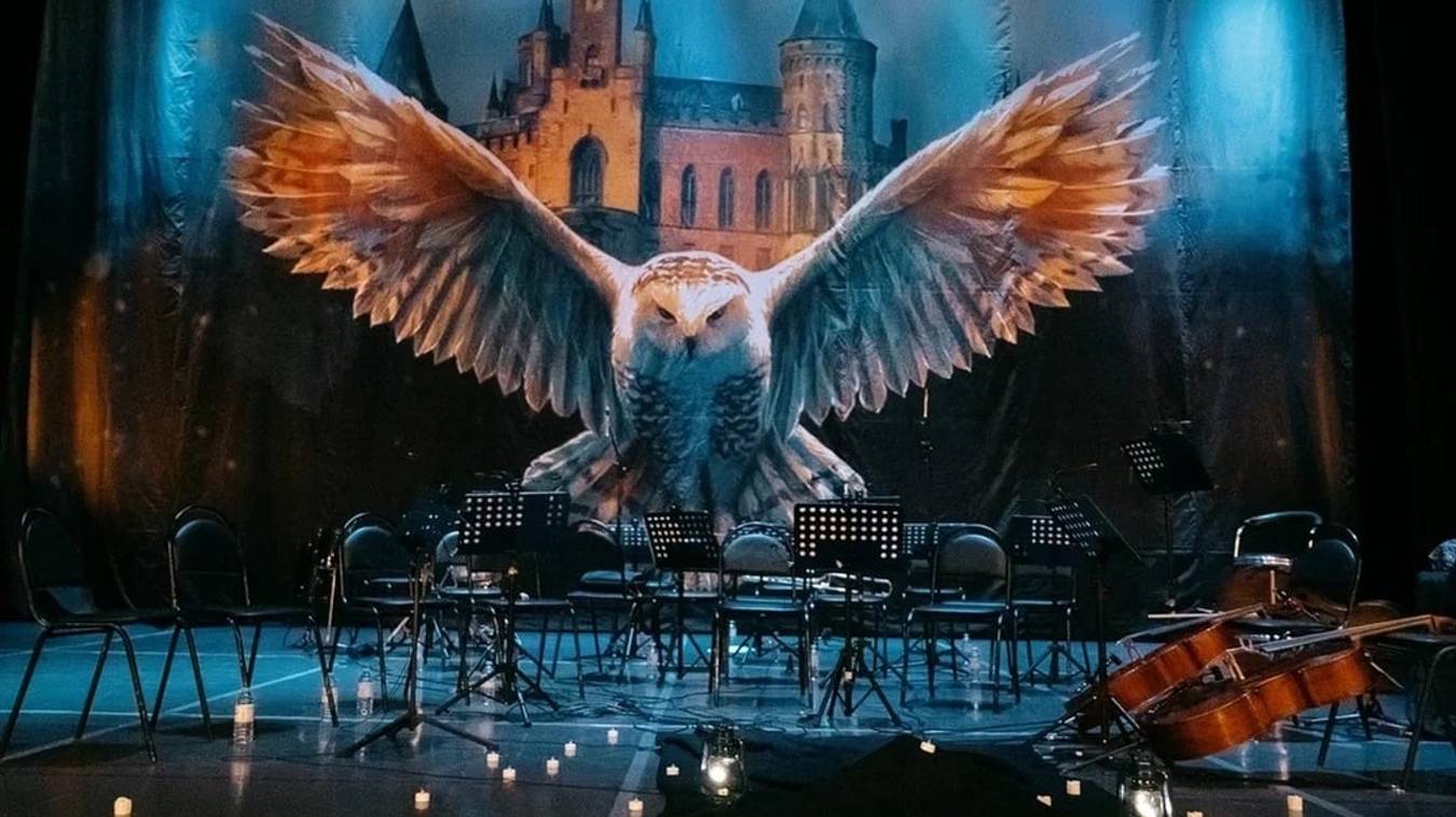 Гарри Поттер. Magic Music