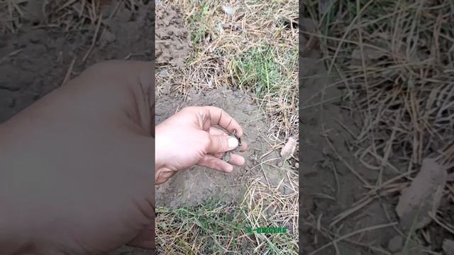 66c37617444734b2e976aa362de110c8