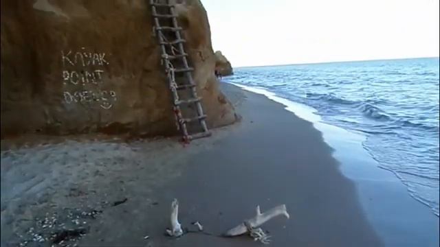 Лебедёвка 21