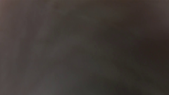 пдс поездка 2017