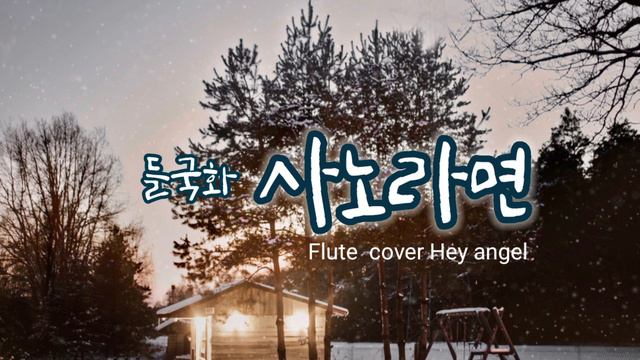 들국화_사노라면 Flute Cover Hey Angel 헤이엔젤