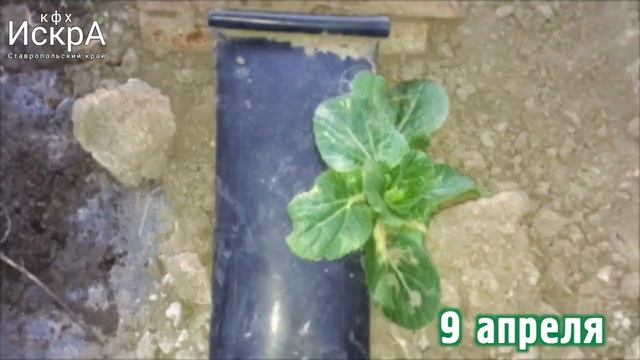 06522c76762cd695f24912573c777325