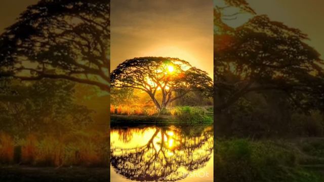 Урок изо 1 класс 1 урок 