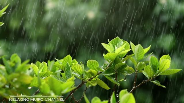 Falun Dafa Music    Peaceful Piano Music   Meditation Music