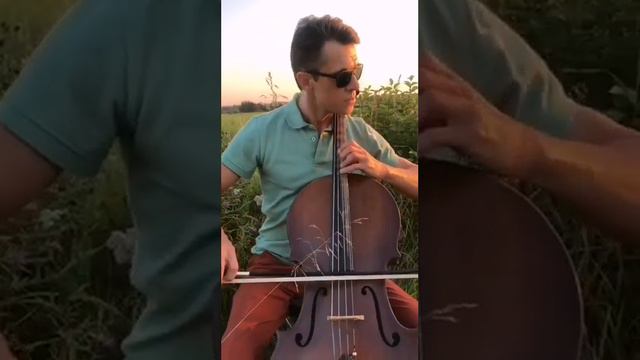 Shrek - Hallelujah(John Cale) #аллилуйя #шрек#сеllo#виолончель #лето #закат