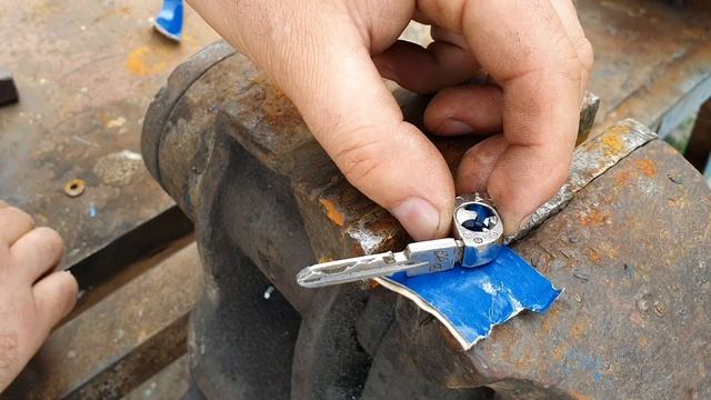 Ремонтные магнолии