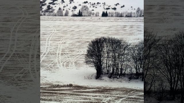 56d30e026bb494471d1481ac4fff81a8