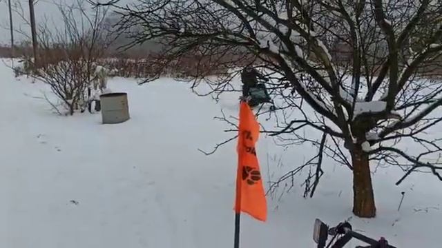 Эрцог. Мотособака