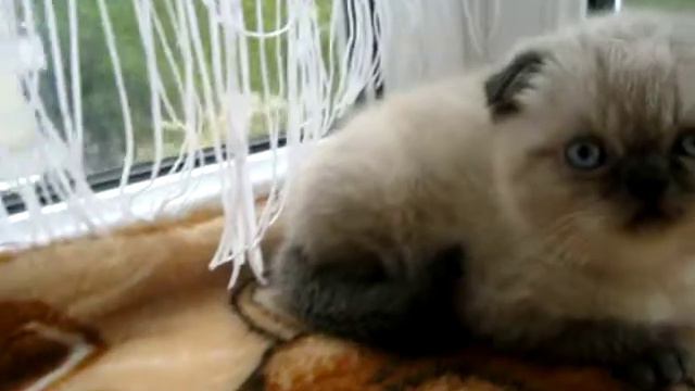 585ec3ee3d40f3aa6288cf543e99358b