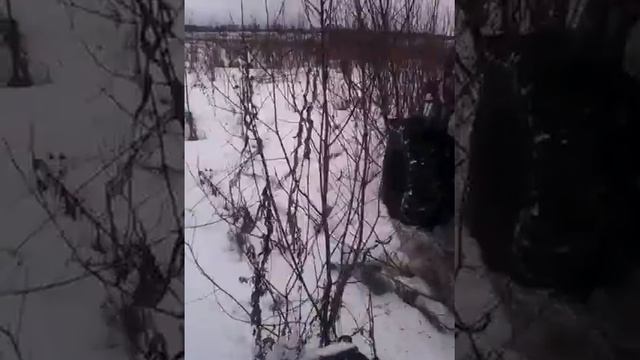 6b58c052957bbd891c784777d198ee01